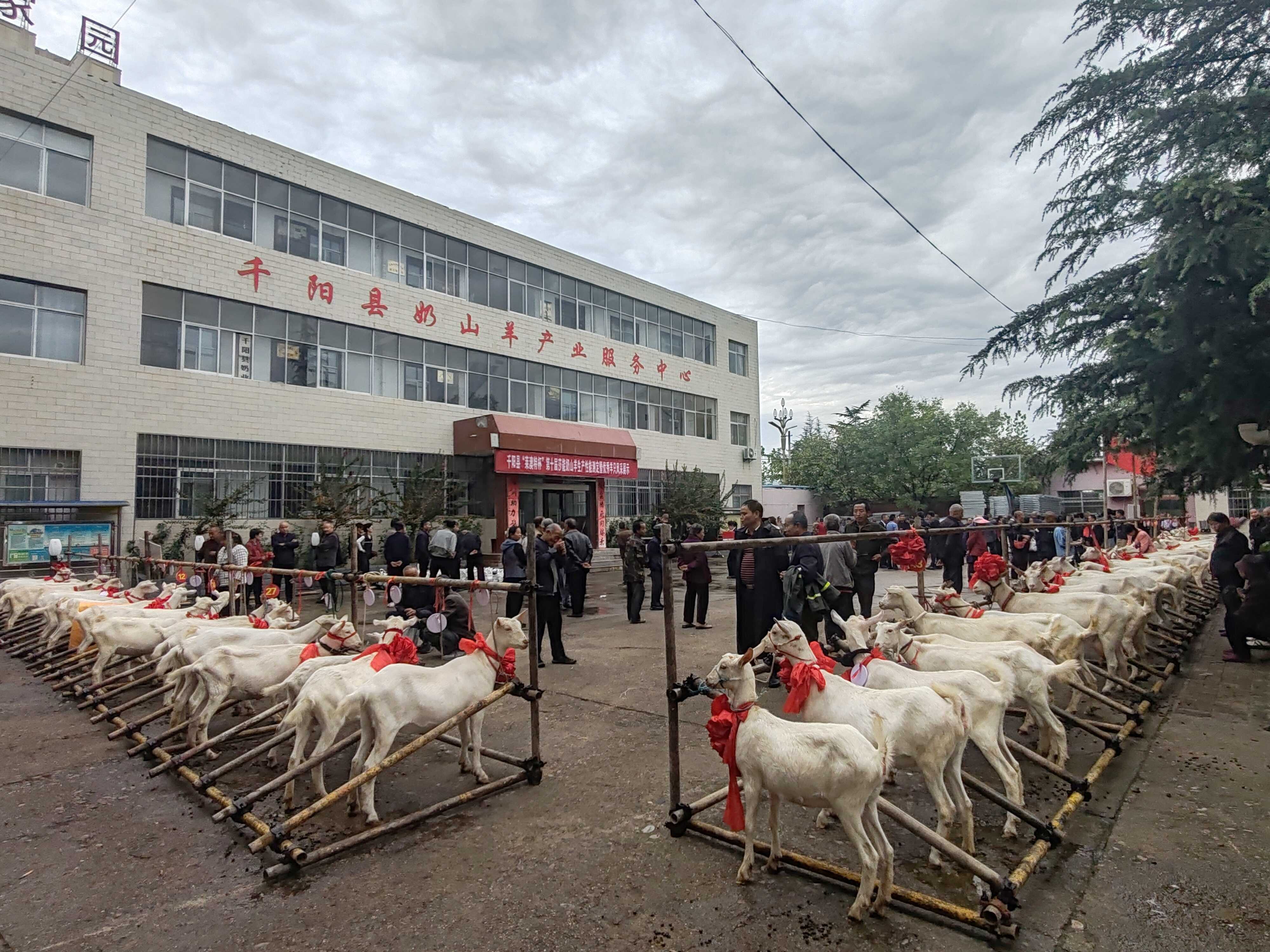 微信图片_20260930115412_12_1270.jpg 必威亚洲