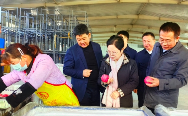 必威亚洲